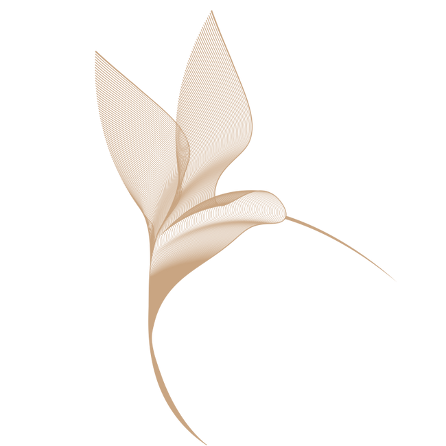 Bird_EAO_for site.png