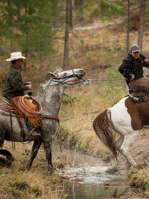 Photography by Jeremy Lurgio
