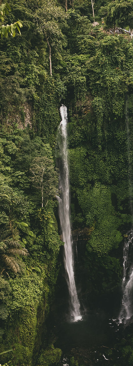 alexandra-dementyeva-wPBbPkZZu8E-unsplash (1).jpg