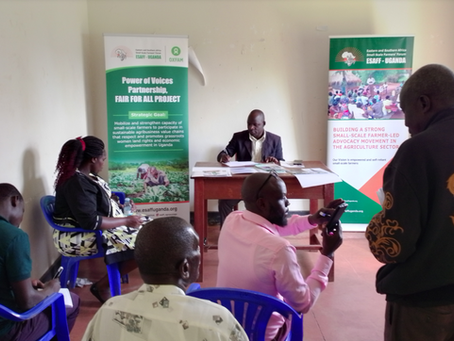 The Untapped and Forgotten Land Institution yet Key in Protecting Land Rights of Small-scale Farmers