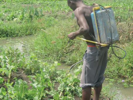 Poison by Proxy: Europe’s Banned Pesticides, Africa’s Burden, and the Agroecological Path Forward.A global double standard with Local Consequences.