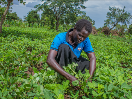 ESAFF Uganda to Start Training Journalists and Communicators on Agroecology