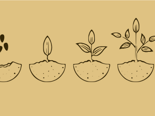 Fostering Resilience In Children