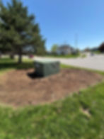 After - Bush Removal