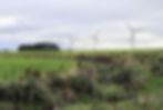Kapuni Project Wind Turbines in South Taranaki - Visual Simulation