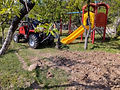 IMG_20240419_101304.jpg