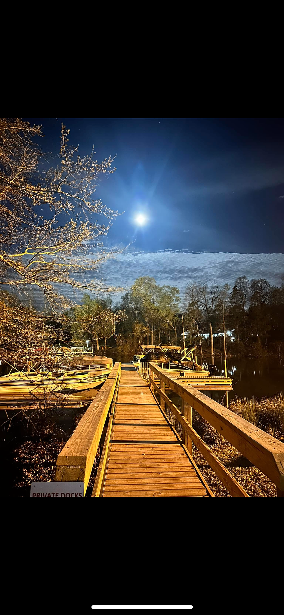 Dock night