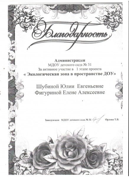 n2_w800_h600