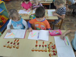 SAM_0505