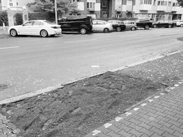 Nicht bepflanzte Baumscheibe am Radweg in der Friedrich-Karl-Straße