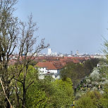 Blick vom Insulaner in Berlin auf die Dächer von Mietshäuser vor blauem Himmel, links und rechts grün blühende Bäume