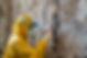 AdobeStock_772784808.jpeg