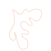 illustrator art