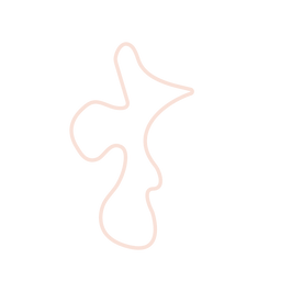 illustrator art