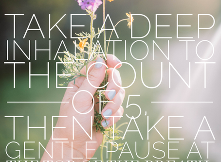 You are Wildly Capable
