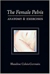 "The Female Pelvis"