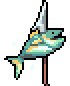 fish.gif