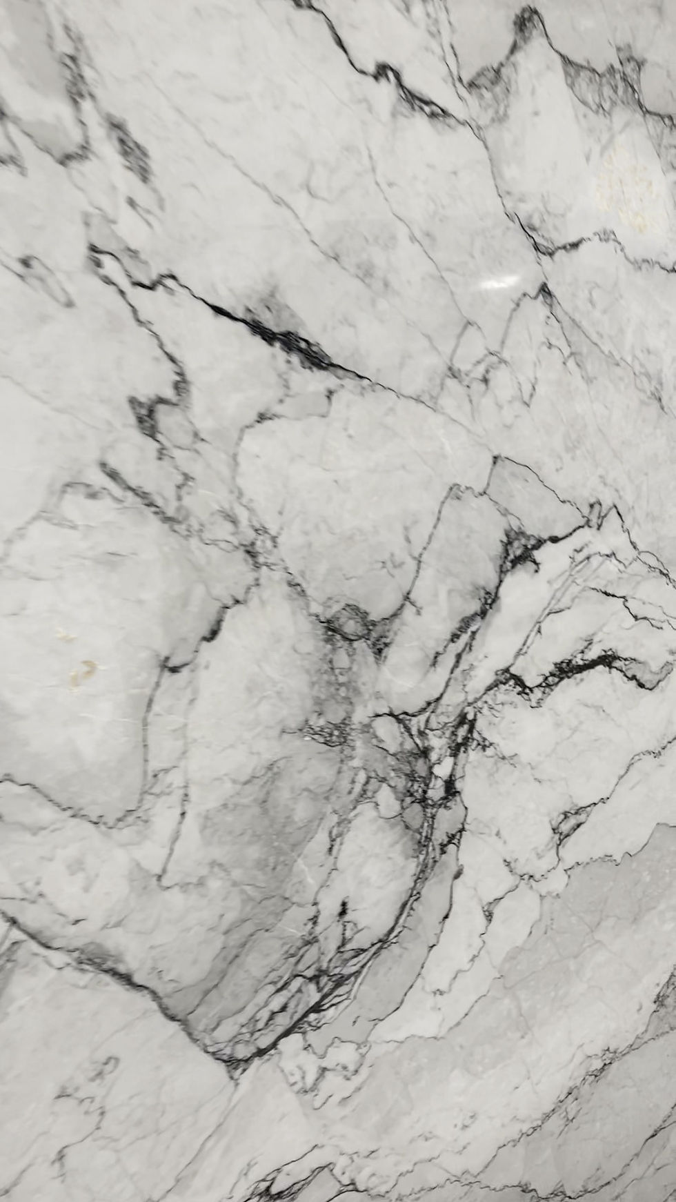 Thumbnail: White Camouflage