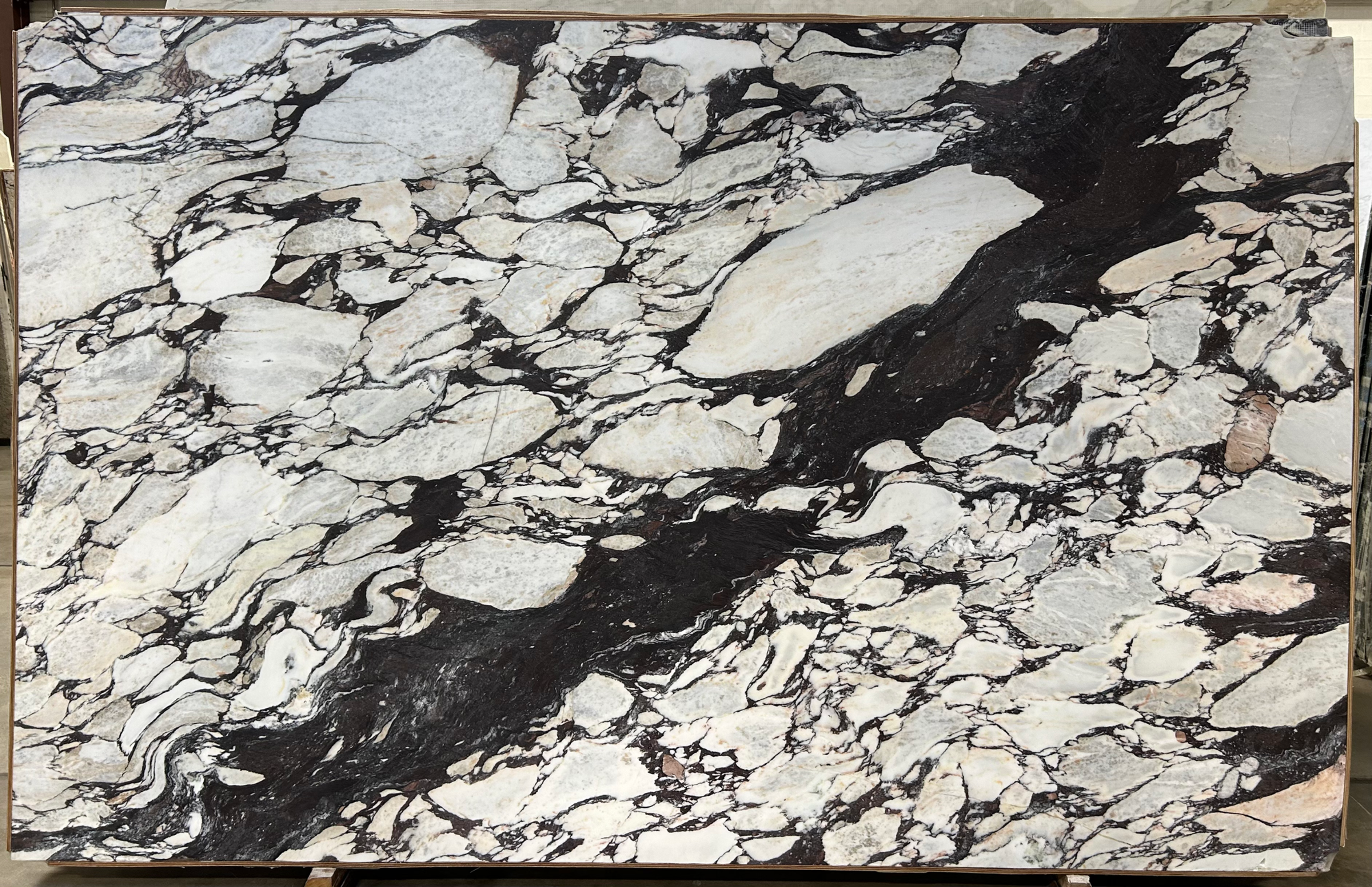 Calacatta Viola Extra Honed