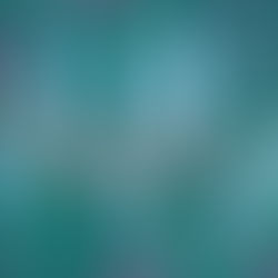 Pandle's Playlist: August 2024