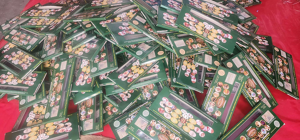 Thumbnail: Bio magnetic bracelet 