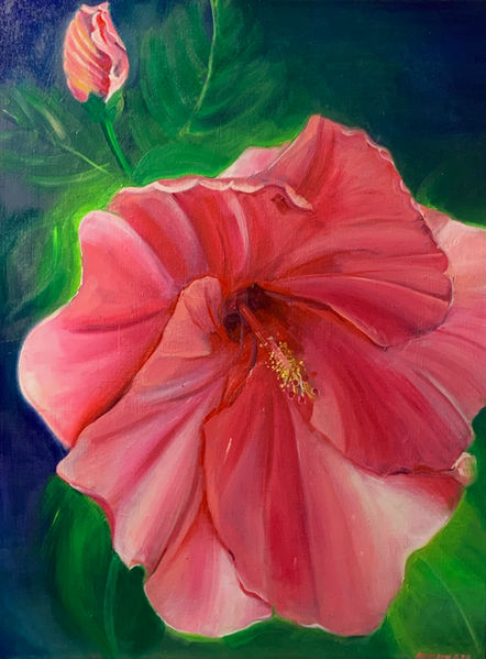 PINK HIBISCUS