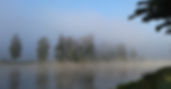 20161010_084723.jpg