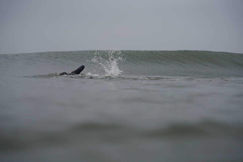 Blue Mind Tribe reeks