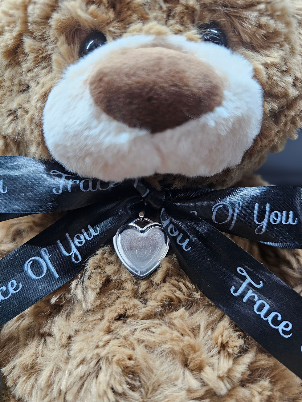 Thumbnail: Hold You Close Ashes Bear 