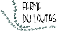 logo.png