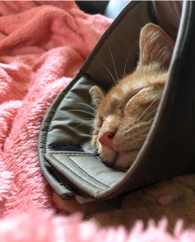 Miniatura: Aconchego Cone