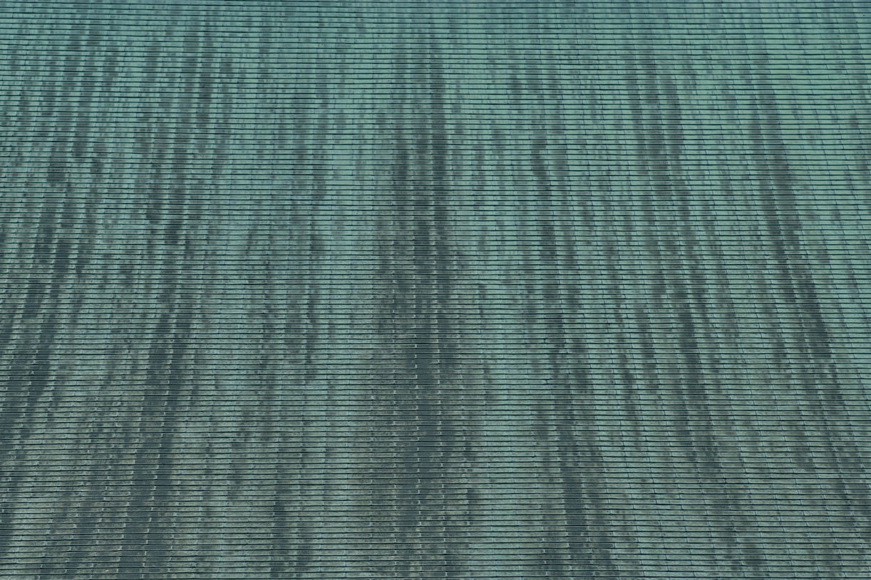_DSC0392.jpeg