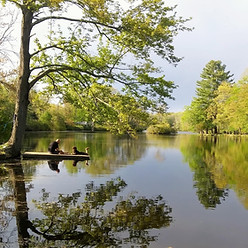 a family enjoys a sunny day on Long Pond