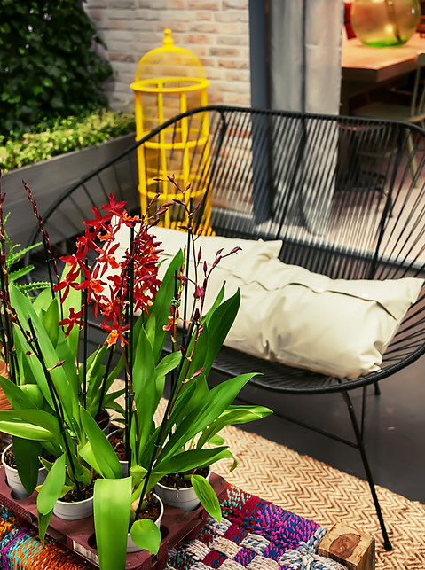 Garden Chair