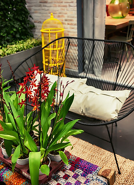 Cozy garden corner with plants and outdoor seating
