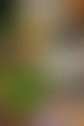 Cast Away Your Fears; Live Life In Peace