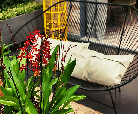 Garden Chair