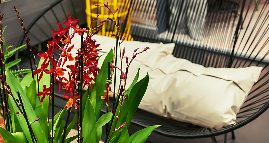 Garden Chair