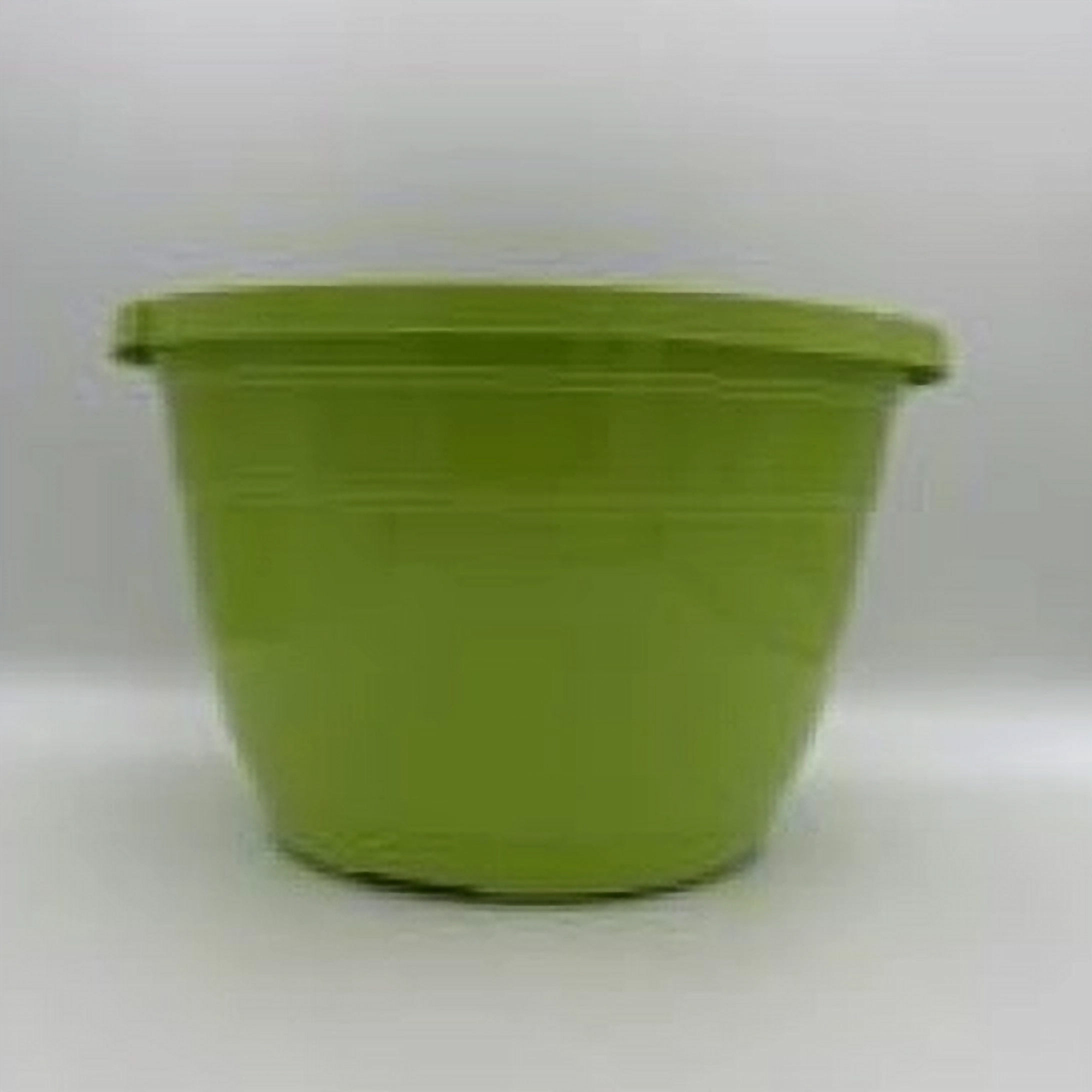 Assiniboia Hanging Basket, each