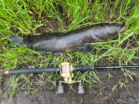 Metaknob Warrior テスト釣行