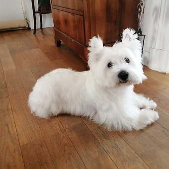 WhatsApp Image 2022-05-06 at 5.08.14 PM (2).jpeg