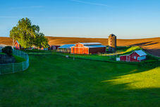 pexels-cottonbro-8767194