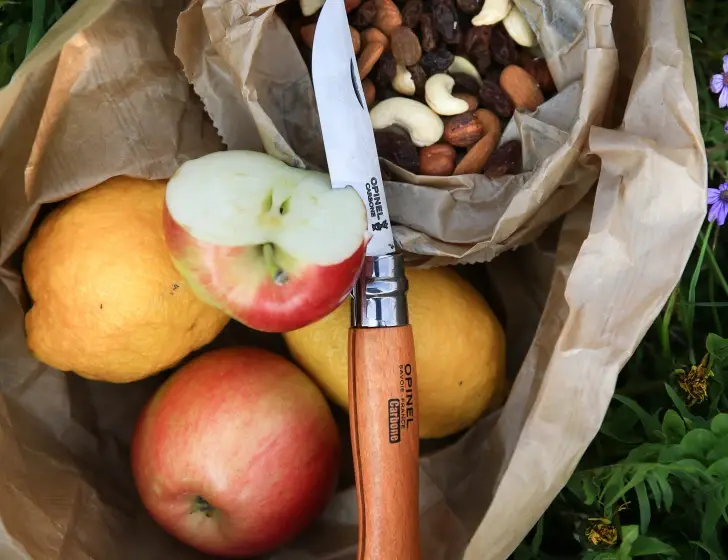 Miniatura: Navaja Opinel N°9 Carbono Blíster