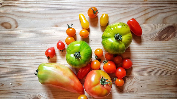 summer tomato.jpeg