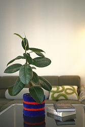 Blumentopf