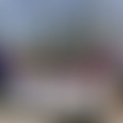 コリカ、やりました!/KORRIKA egin dugu!