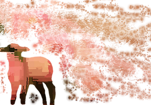 Toufik-Personal.png