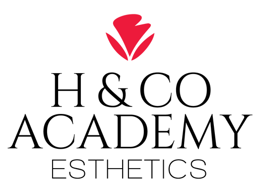 H&CO Esthetics Logo