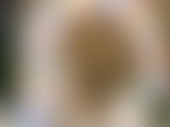 樂氣球店面開幕氣球佈置到場服務實拍