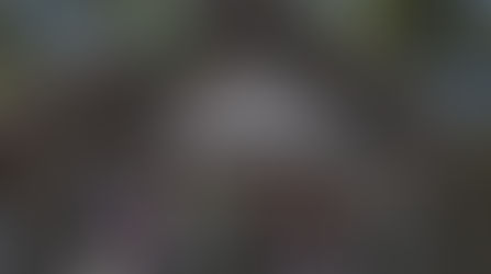 다락방 사역 (5)